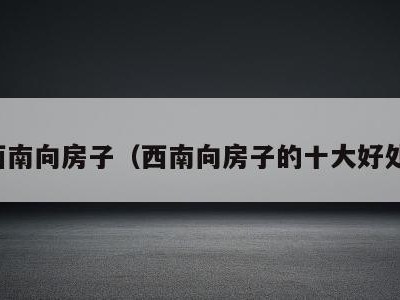 西南向房子(西南向房子的十大好处)