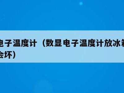 数显电子温度计(数显电子温度计放冰箱里面会不会坏)