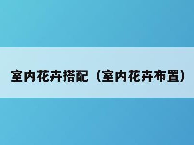 室内花卉搭配(室内花卉布置)