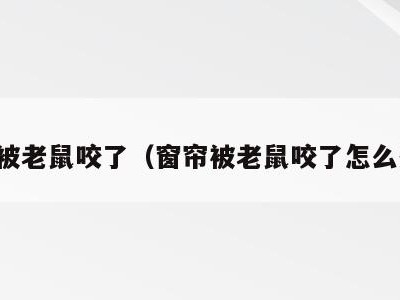 窗帘被老鼠咬了(窗帘被老鼠咬了怎么处理)