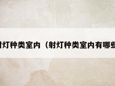 射灯种类室内（射灯种类室内有哪些）