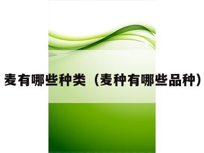 麦有哪些种类(麦种有哪些品种)