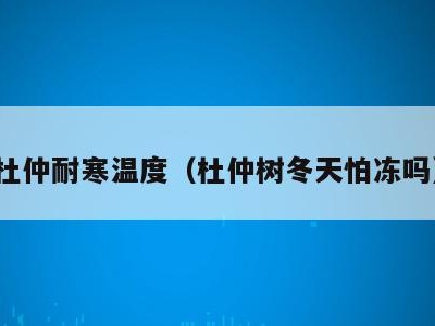 杜仲耐寒温度(杜仲树冬天怕冻吗)