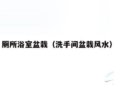 厕所浴室盆栽(洗手间盆栽风水)
