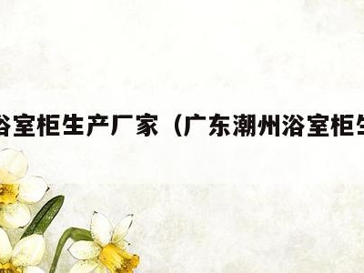 潮州浴室柜生产厂家（广东潮州浴室柜生产厂家）