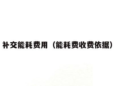 补交能耗费用（能耗费收费依据）