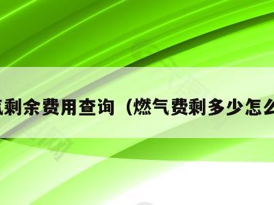 燃气剩余费用查询(燃气费剩多少怎么查)