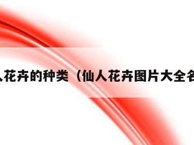 仙人花卉的种类（仙人花卉图片大全名称）