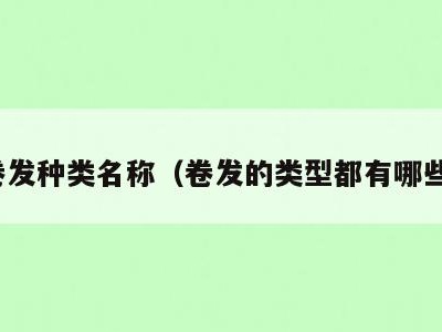 卷发种类名称(卷发的类型都有哪些)