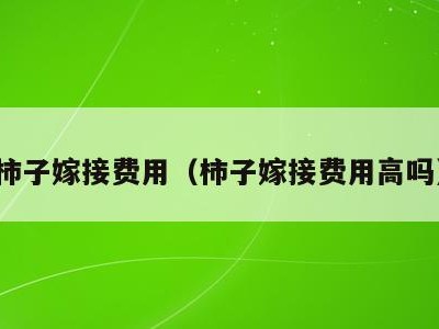柿子嫁接费用(柿子嫁接费用高吗)