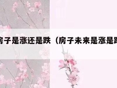 未来房子是涨还是跌（房子未来是涨是跌还是持平）