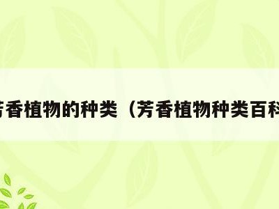 芳香植物的种类（芳香植物种类百科）