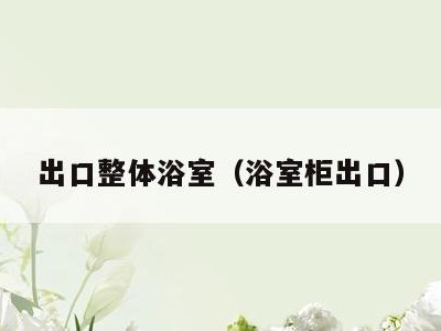 出口整体浴室（浴室柜出口）