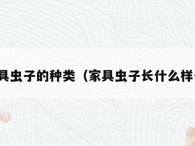 家具虫子的种类（家具虫子长什么样子）