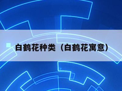 白鹤花种类（白鹤花寓意）