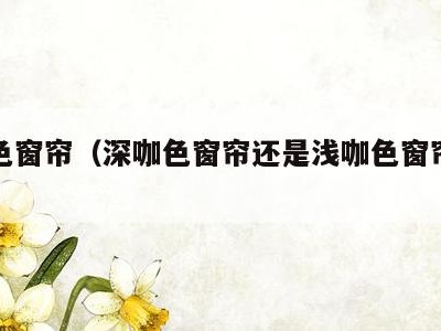 深咖色窗帘(深咖色窗帘还是浅咖色窗帘好看)