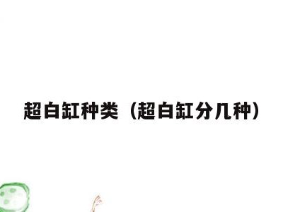 超白缸种类（超白缸分几种）