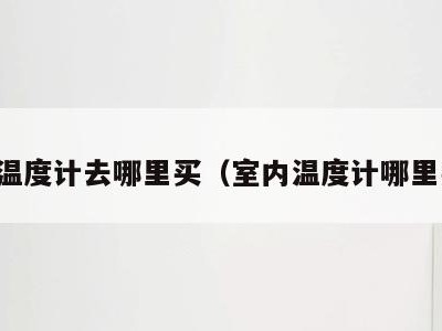 室内温度计去哪里买(室内温度计哪里买的)