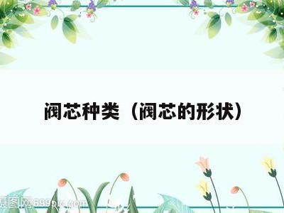 阀芯种类（阀芯的形状）