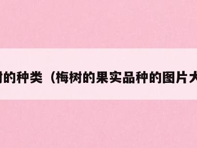 梅树的种类(梅树的果实品种的图片大全)