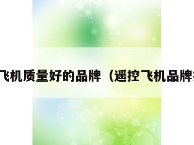 遥控飞机质量好的品牌(遥控飞机品牌推荐)