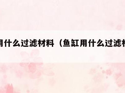 鱼缸用什么过滤材料(鱼缸用什么过滤材料好)