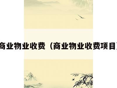 商业物业收费（商业物业收费项目）