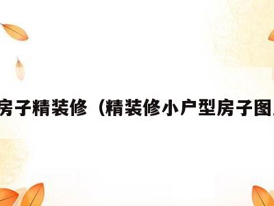 小房子精装修（精装修小户型房子图片）