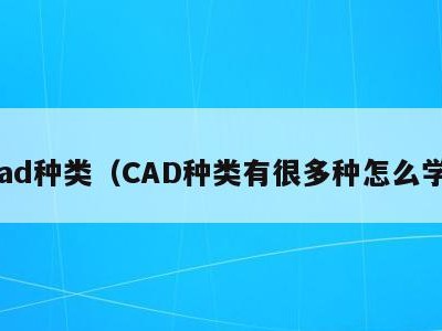 cad种类(CAD种类有很多种怎么学)