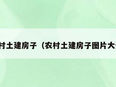 农村土建房子(农村土建房子图片大全)