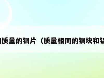 相同质量的铜片（质量相同的铜块和铝块）