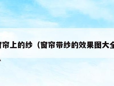 窗帘上的纱(窗帘带纱的效果图大全)