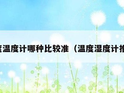 湿度温度计哪种比较准(温度湿度计推荐)