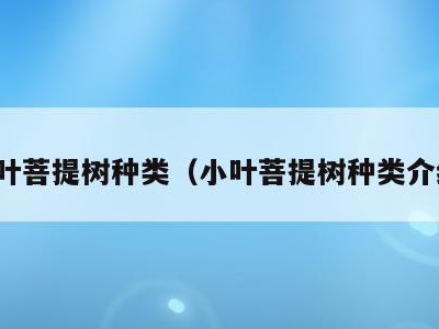 小叶菩提树种类（小叶菩提树种类介绍）