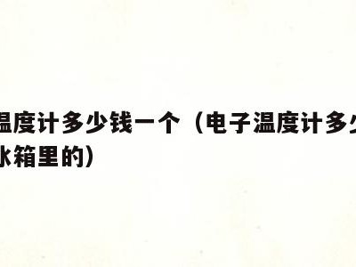 电子温度计多少钱一个(电子温度计多少钱一个放冰箱里的)