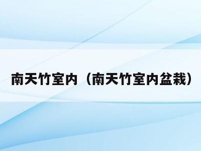 南天竹室内(南天竹室内盆栽)