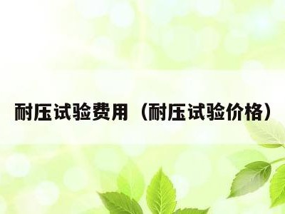 耐压试验费用（耐压试验价格）