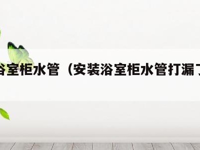 安装浴室柜水管（安装浴室柜水管打漏了怎么修补）