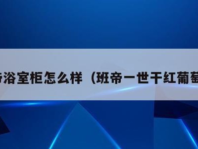 班帝浴室柜怎么样(班帝一世干红葡萄酒)