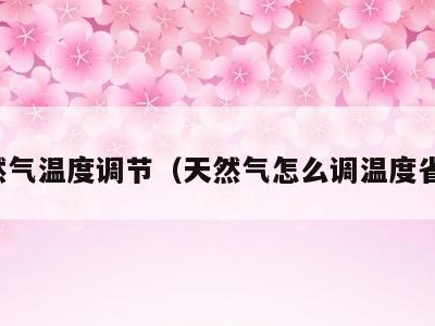 天然气温度调节(天然气怎么调温度省气)