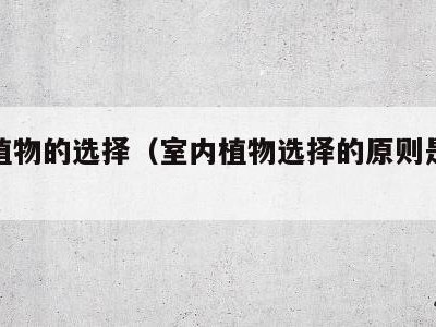 室内植物的选择(室内植物选择的原则是什么?)