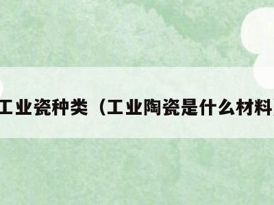 工业瓷种类（工业陶瓷是什么材料）