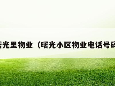 曙光里物业(曙光小区物业电话号码)