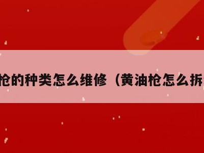 黄油枪的种类怎么维修(黄油枪怎么拆卸图)