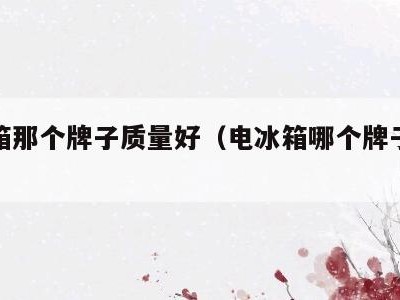 电冰箱那个牌子质量好(电冰箱哪个牌子的质量好)