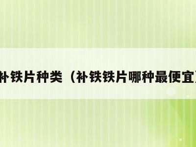 补铁片种类（补铁铁片哪种最便宜）