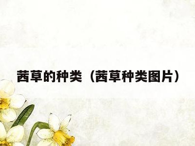 茜草的种类(茜草种类图片)