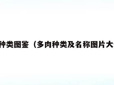 多肉种类图鉴(多肉种类及名称图片大全集)