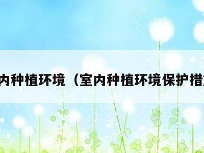 室内种植环境（室内种植环境保护措施）