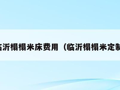 临沂榻榻米床费用(临沂榻榻米定制)